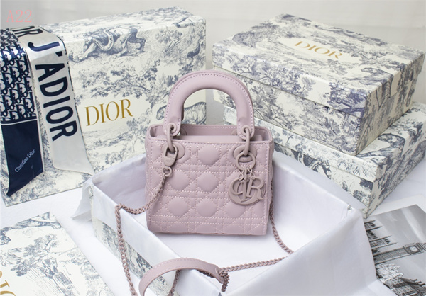 Dior Bags AAA 004